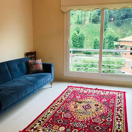 River Side Placed Suit House Secer Apart Çamlıhemşin Buitenkant foto